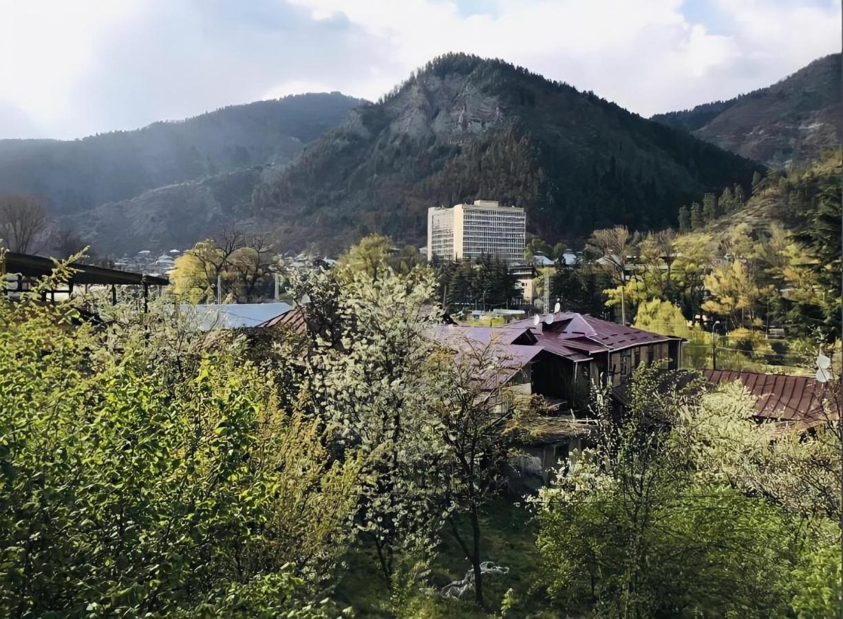 Guesthouse Greenside Borjomi Exterior photo