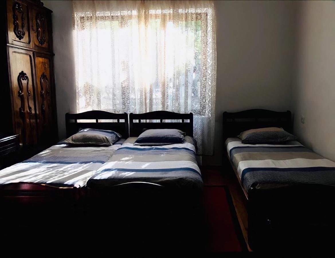Guesthouse Greenside Borjomi Exterior photo